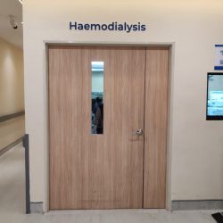 haemodialysis (l1) soc