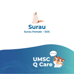 surau female (l1) soc