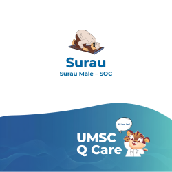 surau male (l1) soc