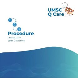Search By Procedure
